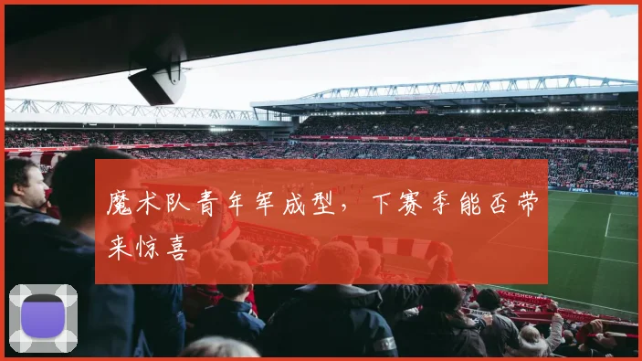 魔术队青年军成型，下赛季能否带来惊喜