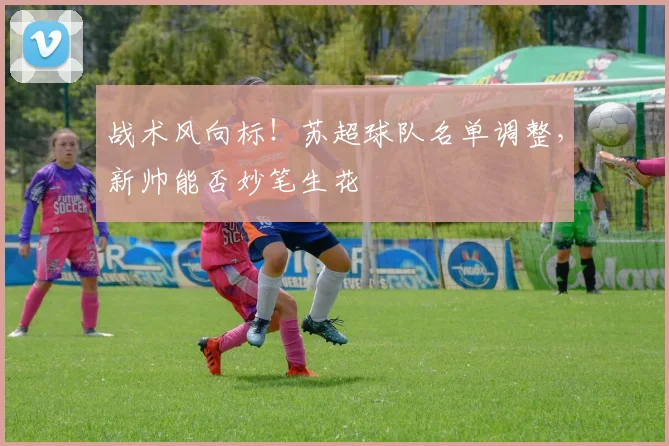 战术风向标!苏超球队名单调整,新帅能否妙笔生花